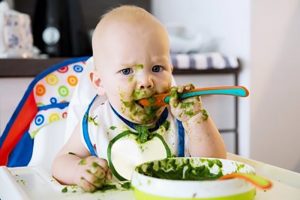 Papilla multifrutas para bebés